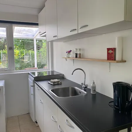 Ferienhaus In 't Venne