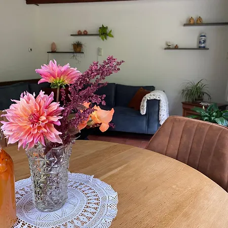 Ferienhaus In 't Venne